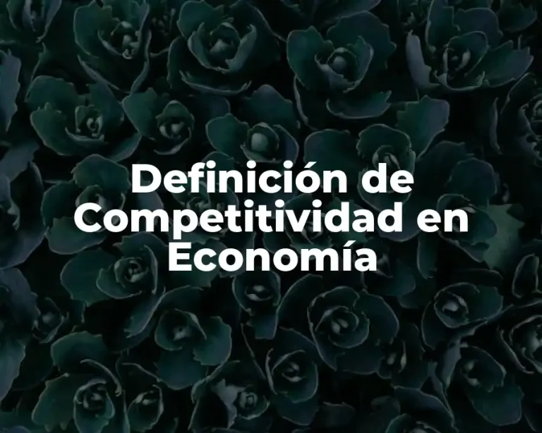 Definición de Competitividad en Economía