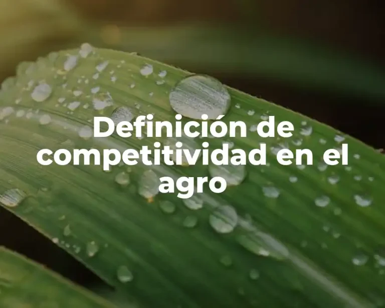 Definición de competitividad en el agro