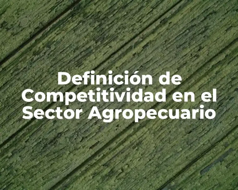 Definición de Competitividad en el Sector Agropecuario