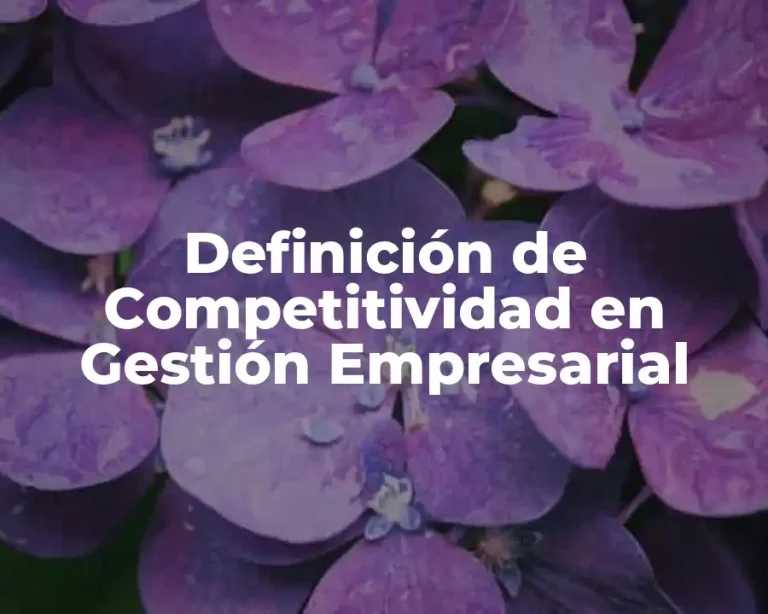 Definición de Competitividad en Gestión Empresarial