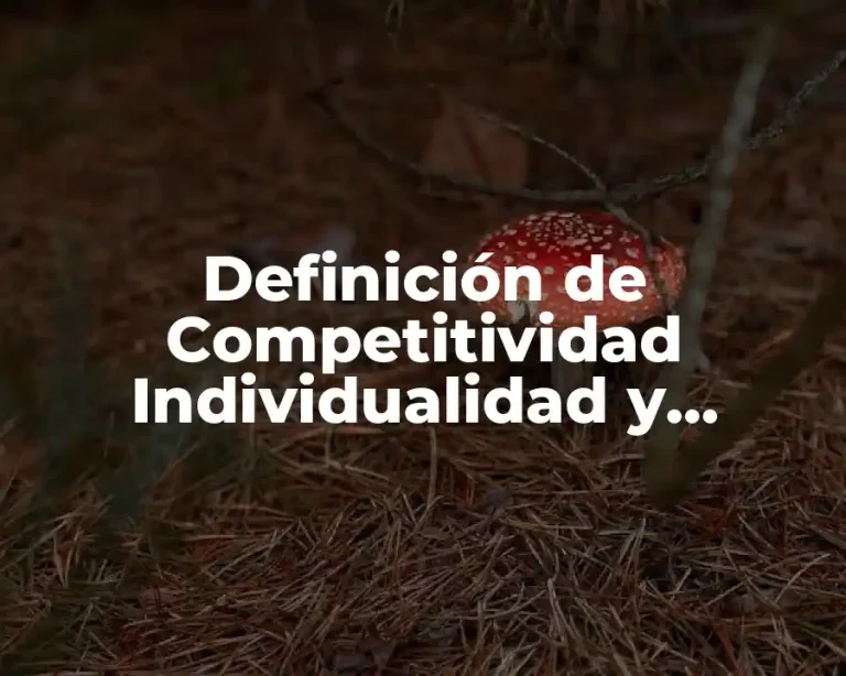 Definición de Competitividad Individualidad y Volatilidad de Paradigmas
