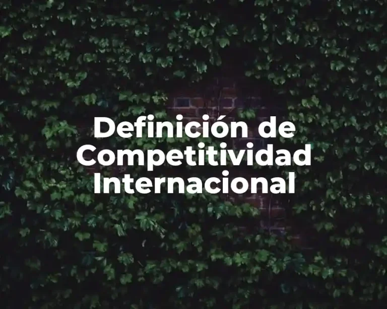 Definición de Competitividad Internacional