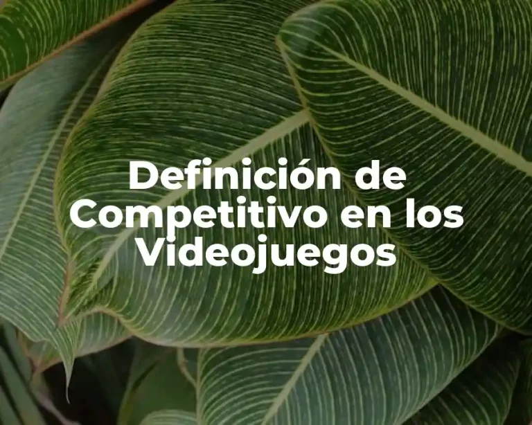 Definición de Competitivo en los Videojuegos
