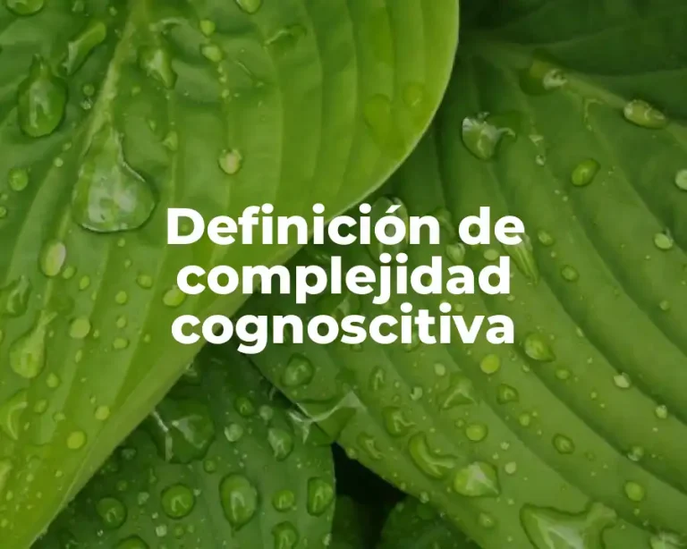 Definición de complejidad cognoscitiva