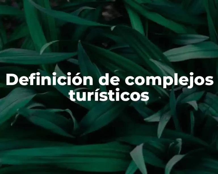 Definición de complejos turísticos