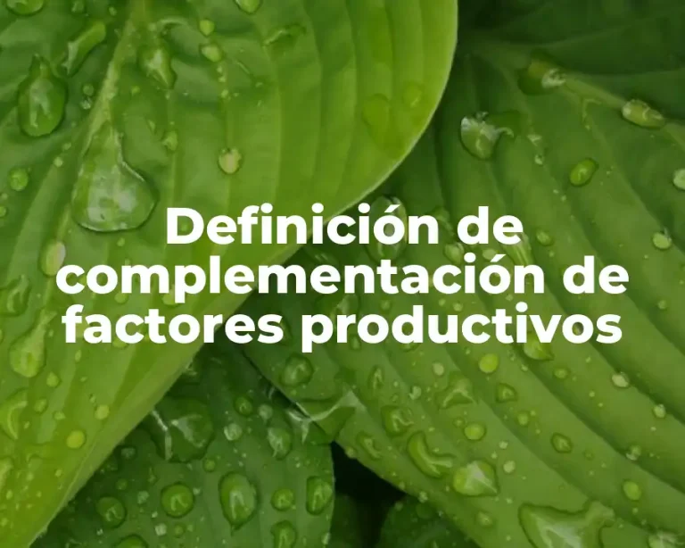 Definición de complementación de factores productivos