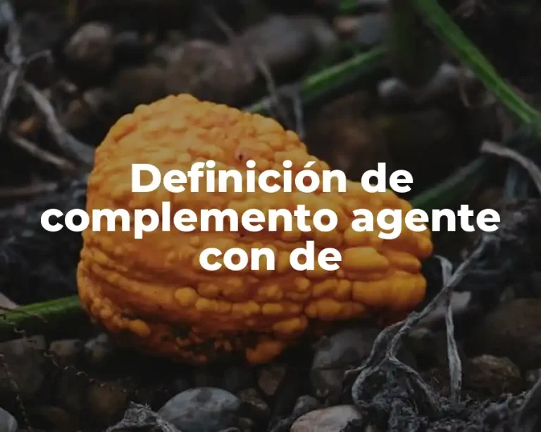 Definición de complemento agente con de