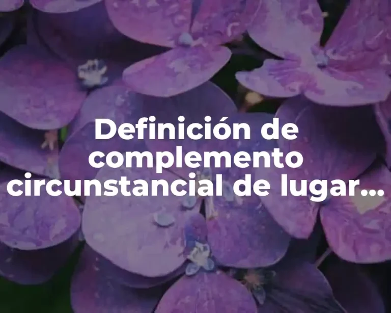Definición de complemento circunstancial de lugar en un biografía