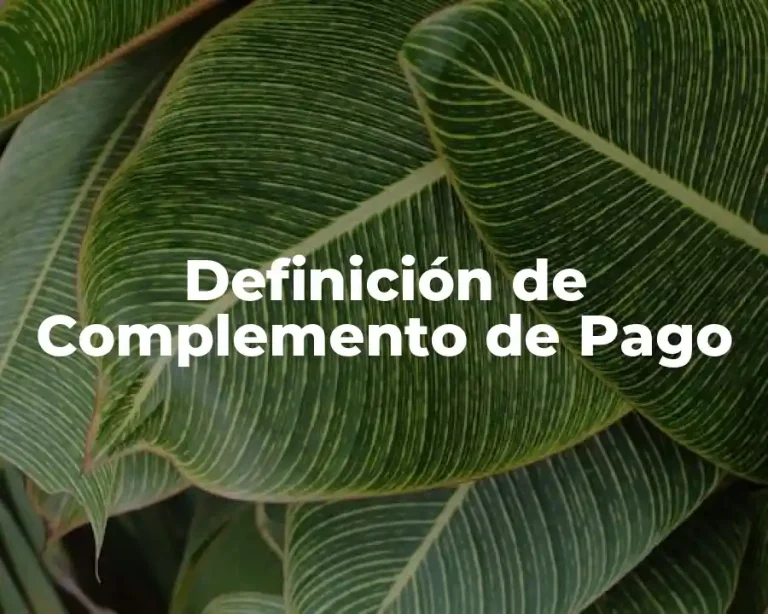 Definición de Complemento de Pago
