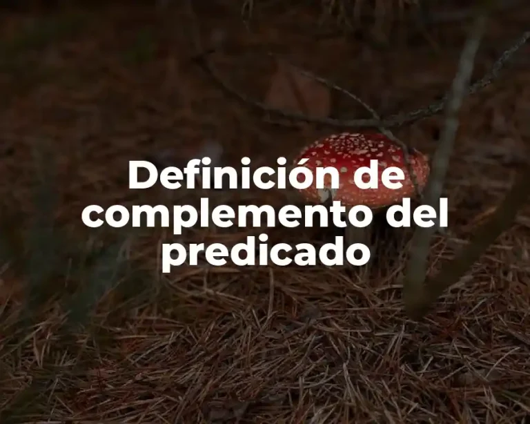 Definición de complemento del predicado