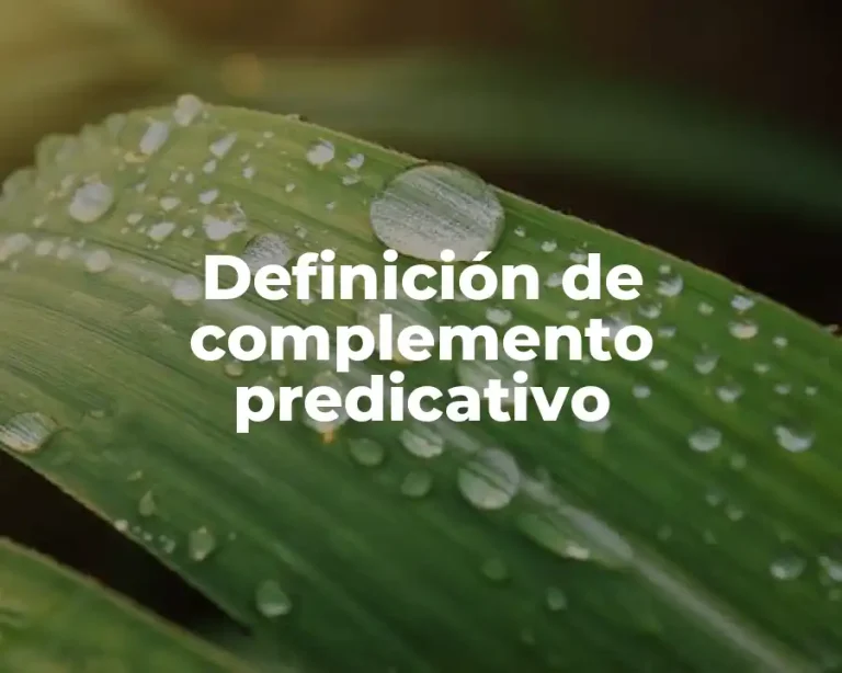 Definición de complemento predicativo