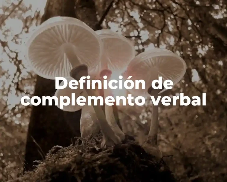 Definición de complemento verbal