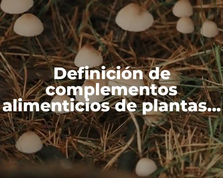 Definición de complementos alimenticios de plantas comprimido