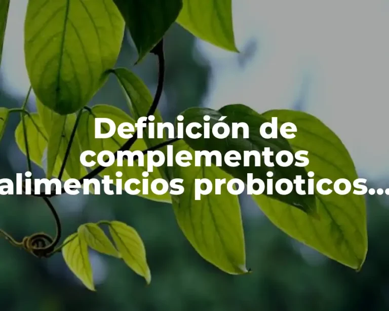 Definición de complementos alimenticios probioticos comprimidos