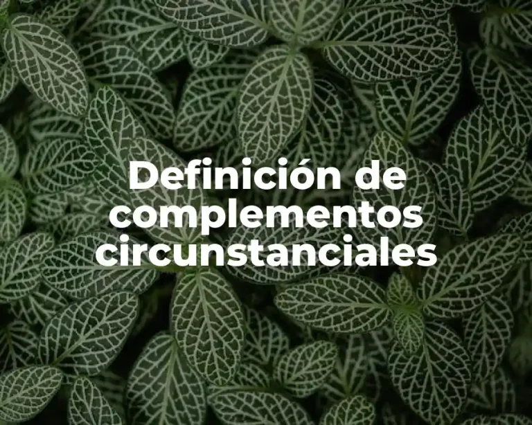 Definición de complementos circunstanciales