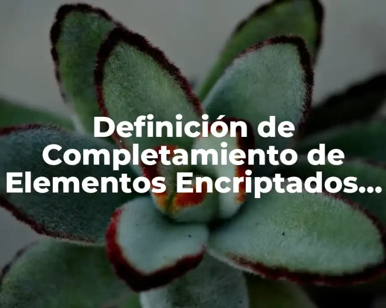 Definición de Completamiento de Elementos Encriptados Ejercicios