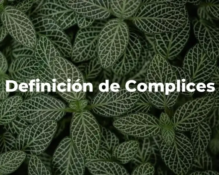 Definición de Complices