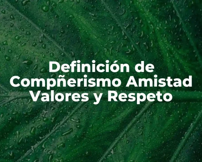 Definición de Compñerismo Amistad Valores y Respeto