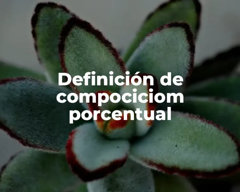 Definición de compociciom porcentual