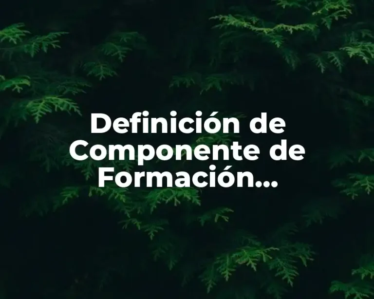 Definición de Componente de Formación Propedéutica