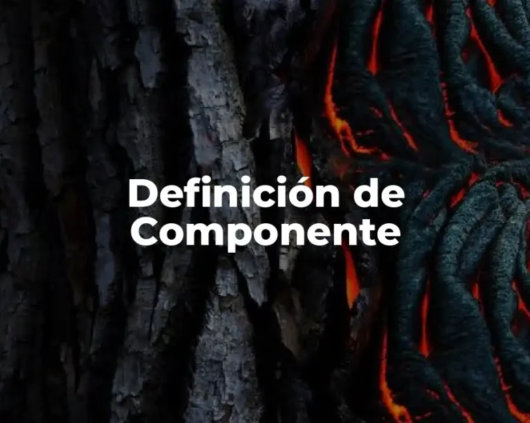 Definición de Componente