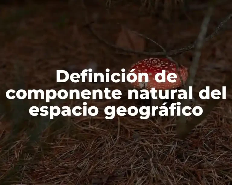 Definición de componente natural del espacio geográfico