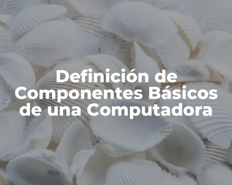 Definición de Componentes Básicos de una Computadora