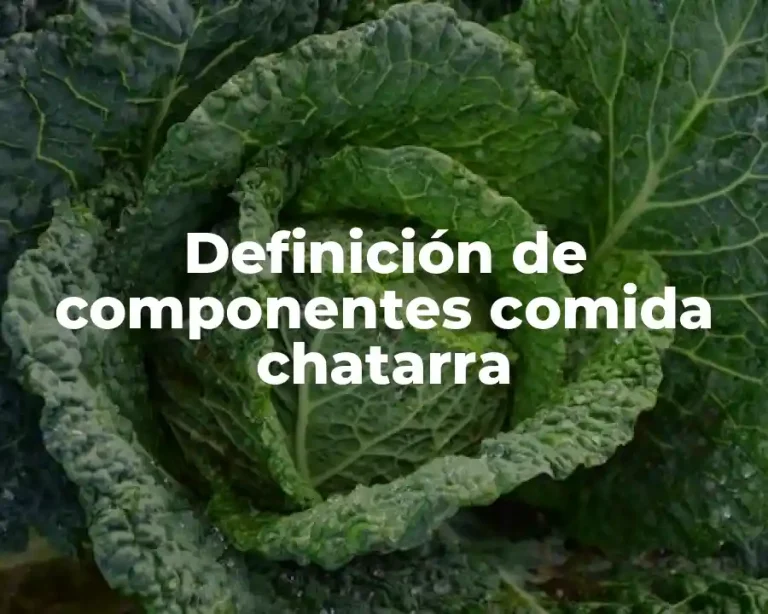 Definición de componentes comida chatarra