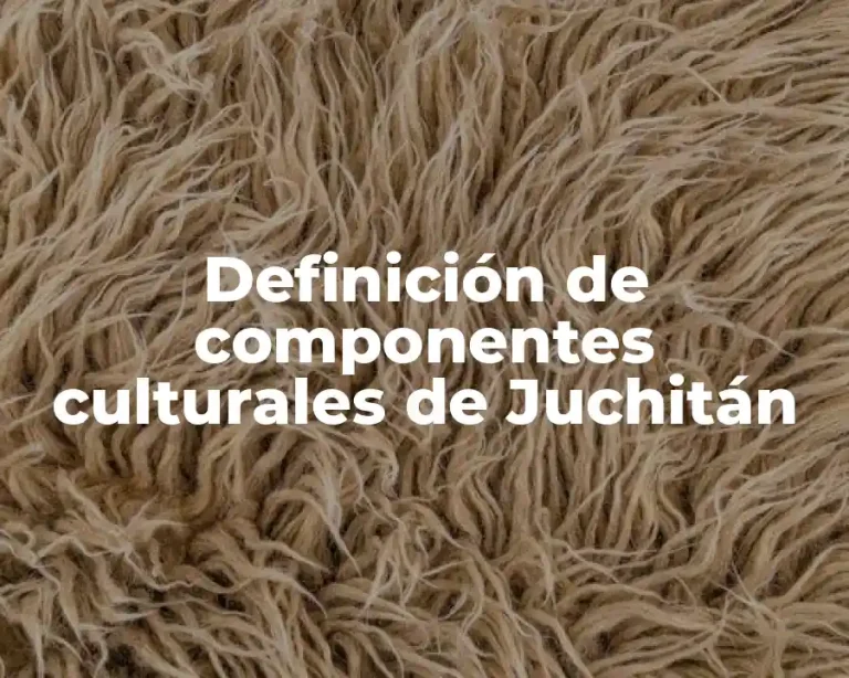 Definición de componentes culturales de Juchitán
