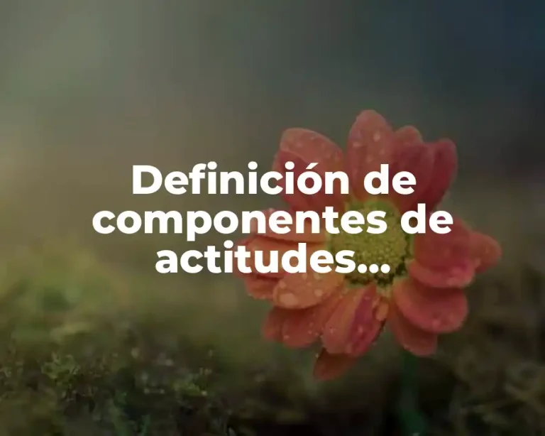 Definición de componentes de actitudes discriminatorias