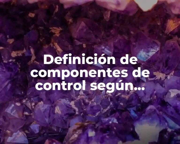 Definición de componentes de control según Bertalanffy