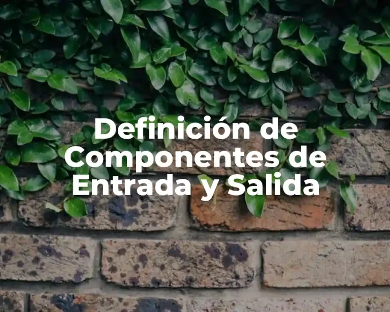 Definición de Componentes de Entrada y Salida