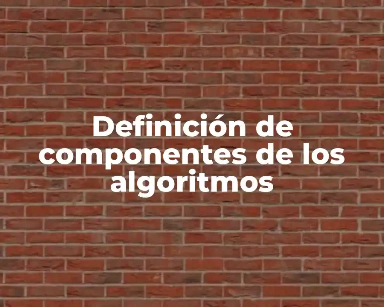 Definición de componentes de los algoritmos