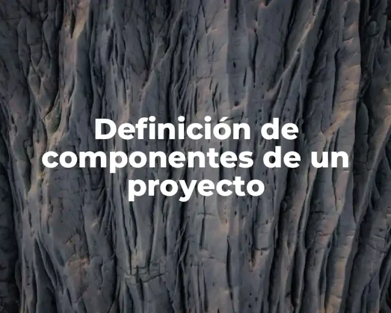 Definición de componentes de un proyecto