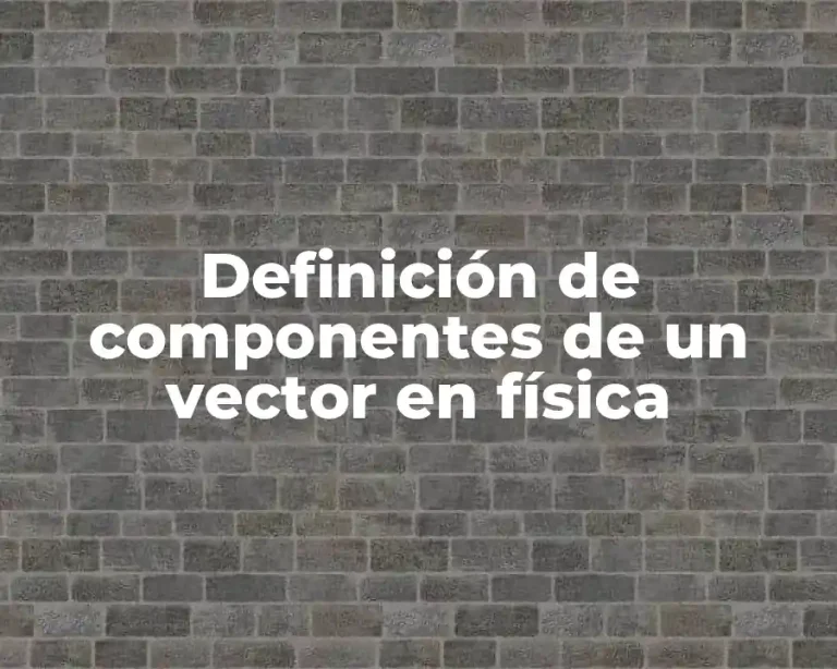 Definición de componentes de un vector en física