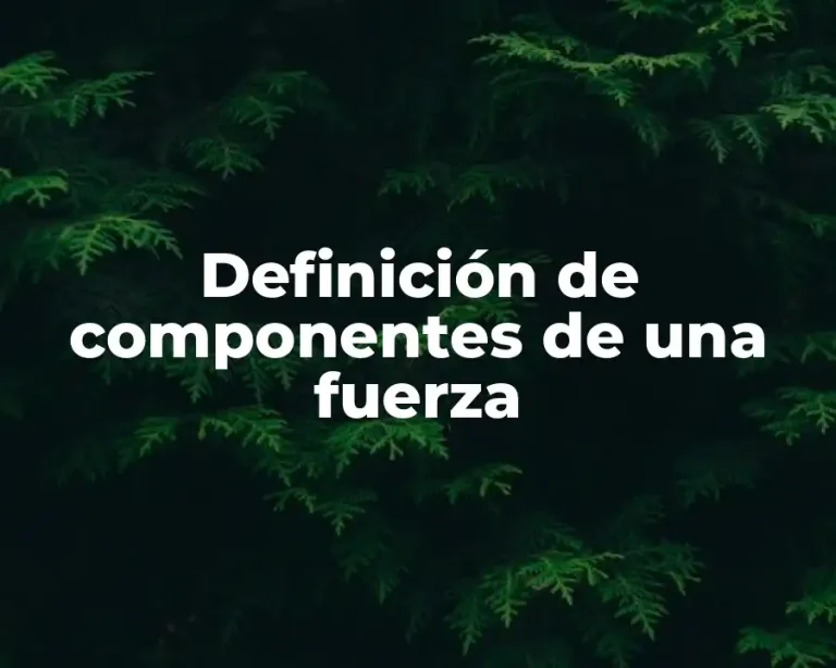 Definición de componentes de una fuerza