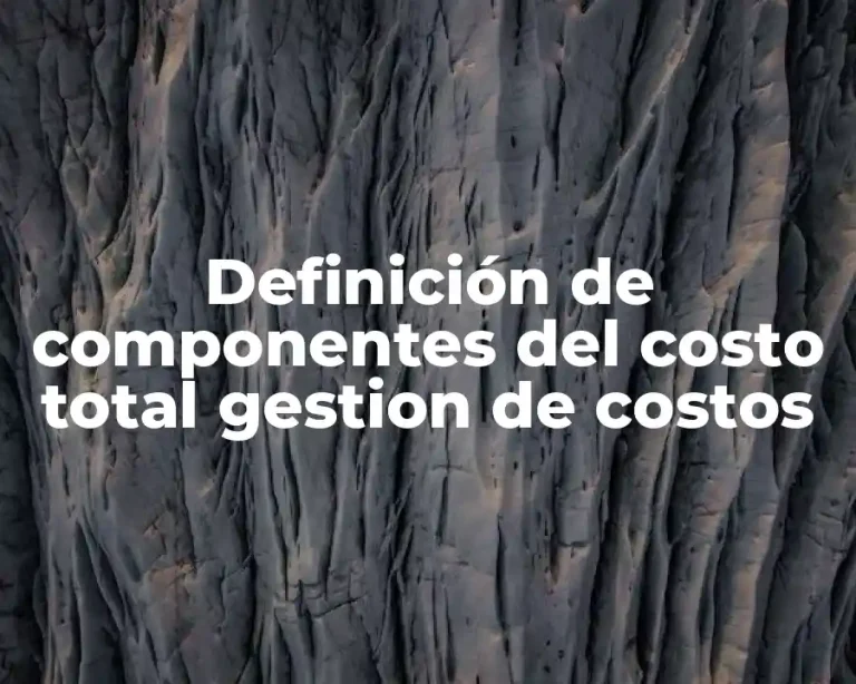 Definición de componentes del costo total gestion de costos