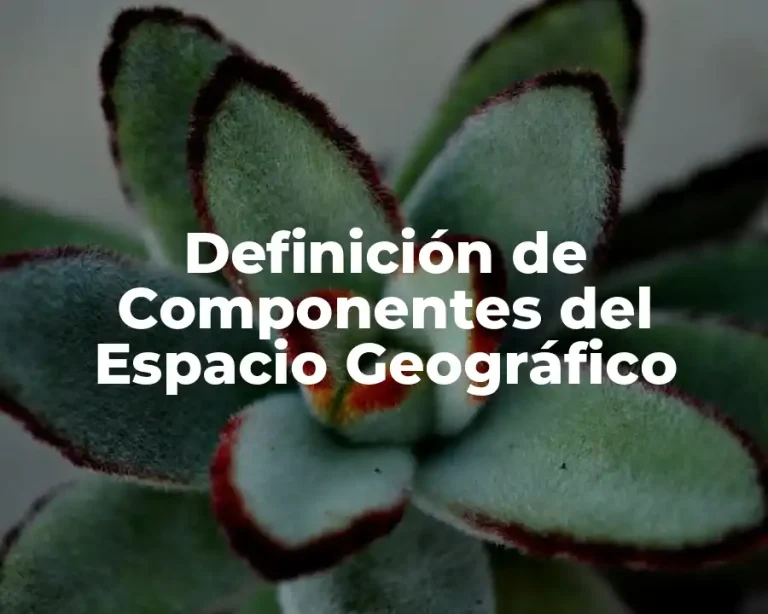 Definición de Componentes del Espacio Geográfico
