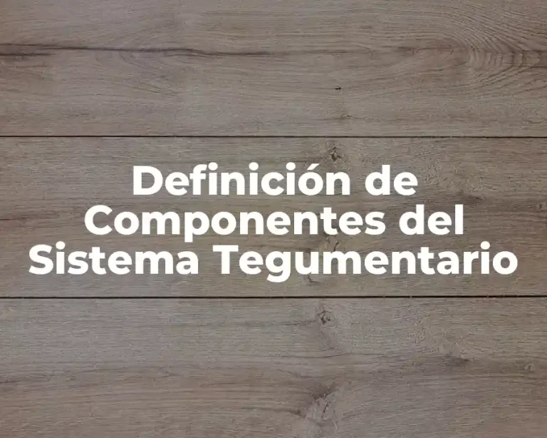 Definición de Componentes del Sistema Tegumentario