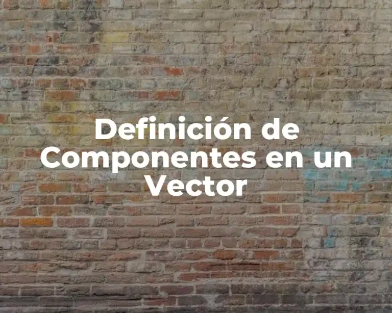 Definición de Componentes en un Vector