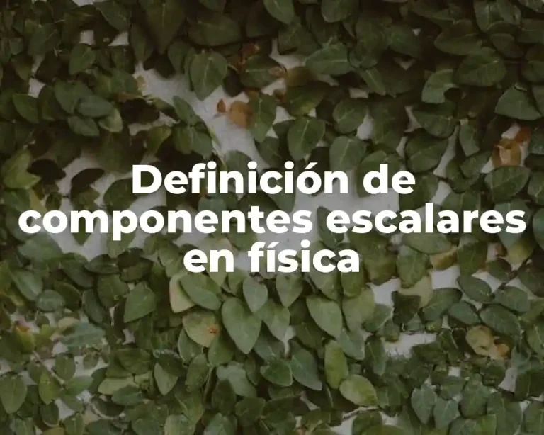 Definición de componentes escalares en física