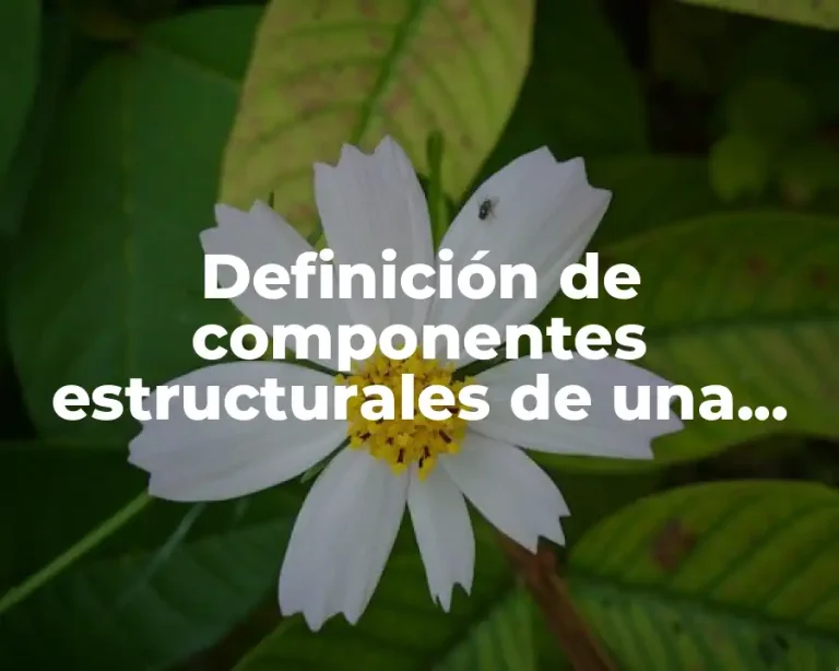 Definición de componentes estructurales de una empresa