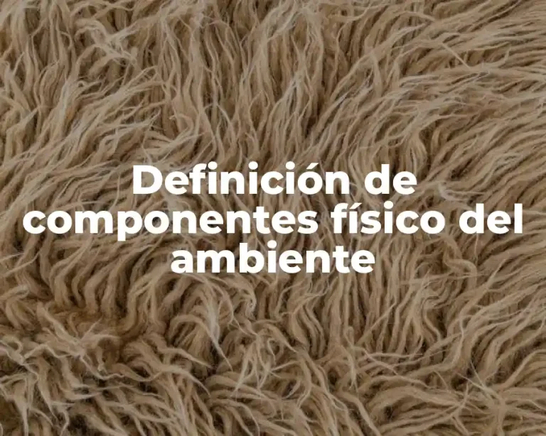 Definición de componentes físico del ambiente