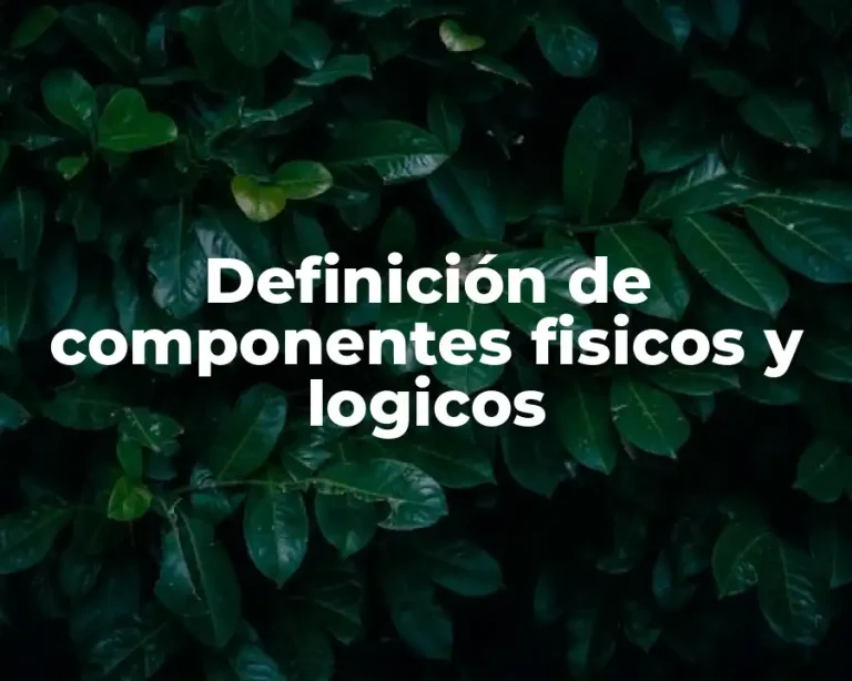 Definición de componentes fisicos y logicos