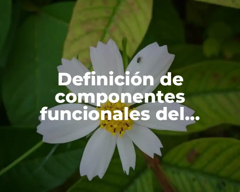 Definición de componentes funcionales del ecosistema