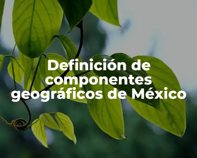 Definición de componentes geográficos de México