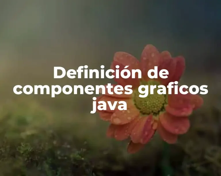 Definición de componentes graficos java