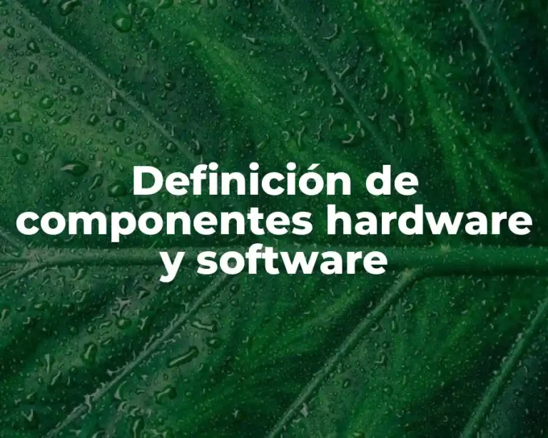 Definición de componentes hardware y software