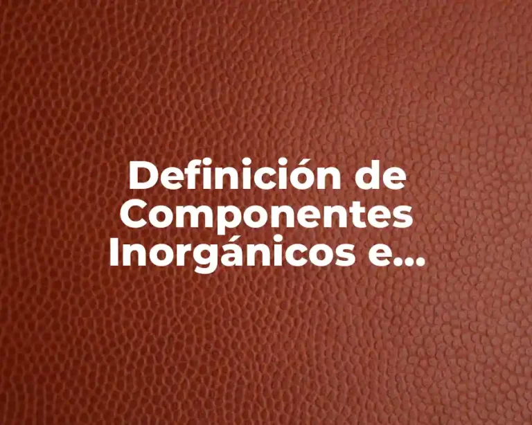 Definición de Componentes Inorgánicos e Orgánicos