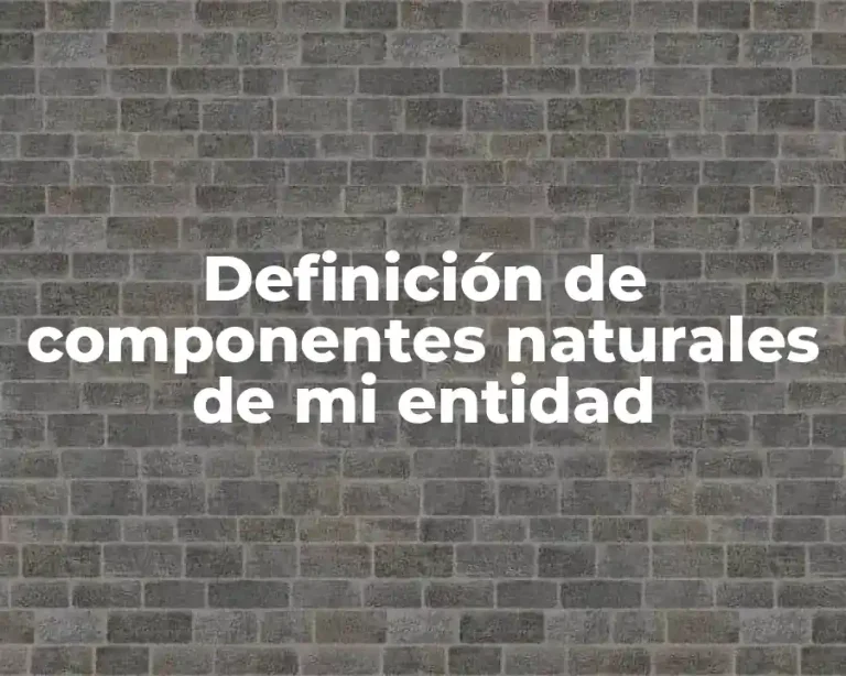 Definición de componentes naturales de mi entidad
